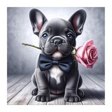 AMORARS Dog Diamond Art Kits for Adults - 5D Painting Kit Multicolour