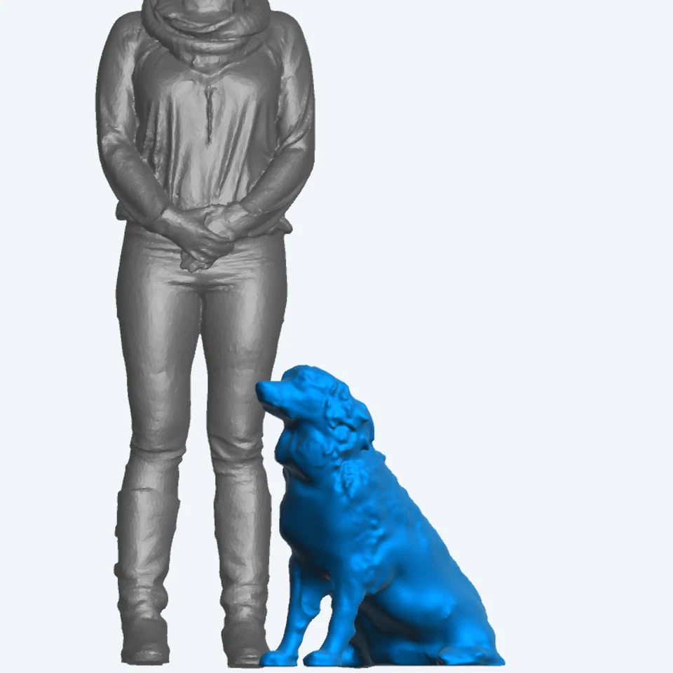 Model scale Golden Retriever A23 Jager Hobby - Image 4 of 4