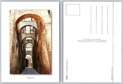 Siena Italy Vicolo della Galluzza Arched Alley Souvenir Postcard