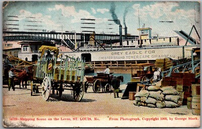 Postcard Shipping Scene on the Levee; St Louis, Missouri 1909 Fc