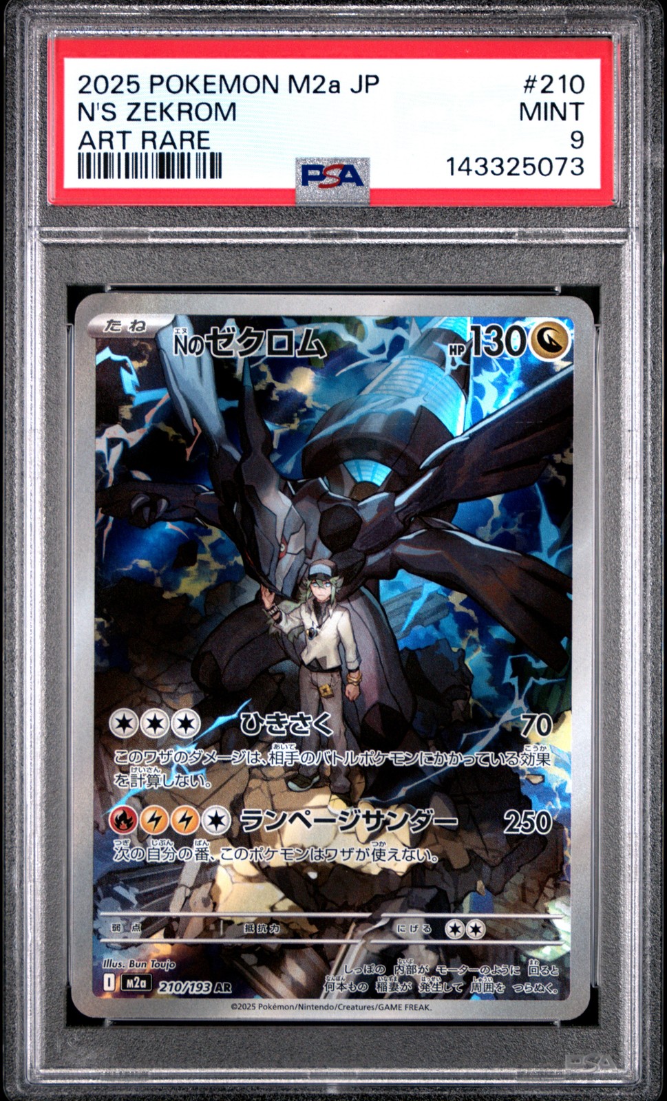 N's Zekrom #210