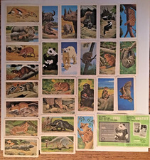 BrookeBond Animals And Young RedRose Tea Album 26x #15 1972 Wildlife Federation