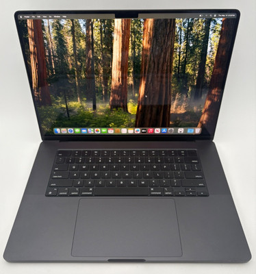 Apple MacBook Pro 16'' M4 Max Chip | 36GB RAM | 1TB SSD - Space Black (MX303LL/A)