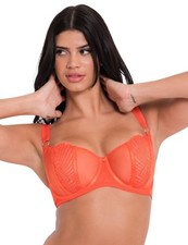 34DD Scantilly by Curvy Kate Authority Bra Balconette Sheer Womens Bras ST019100