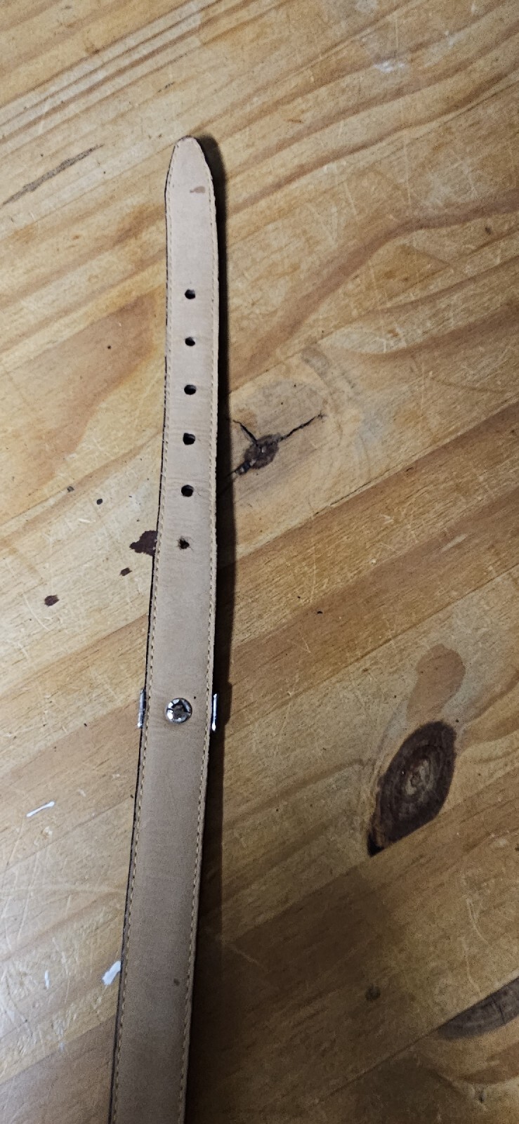 Picture 9 of 10