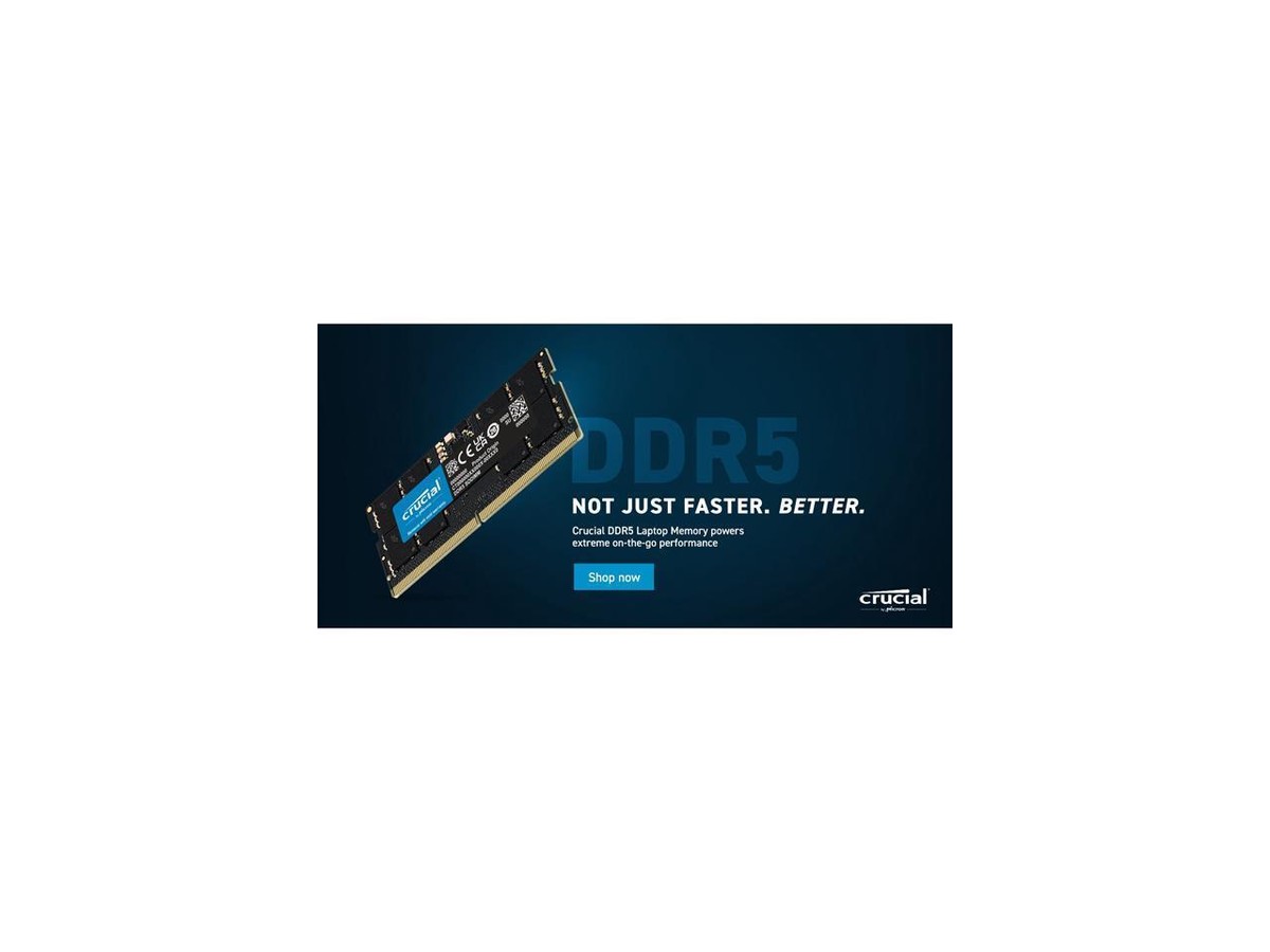 Crucial 32GB 262-Pin DDR5 SO-DIMM DDR5 4800 (PC4 38400) Laptop