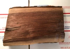 Black Walnut Auction Block Slab Burl Crotch 2.8 pounds pics for size made by God