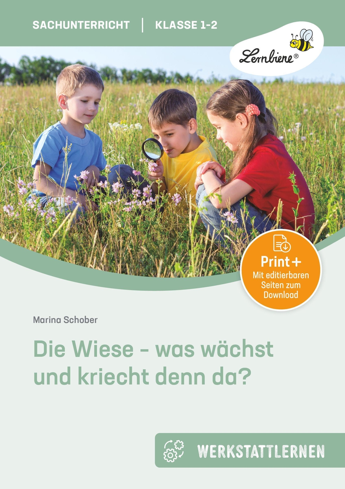 Thumbnail - Die Wiese - Was Wächst Und Kriecht Denn Da? Marina Schober