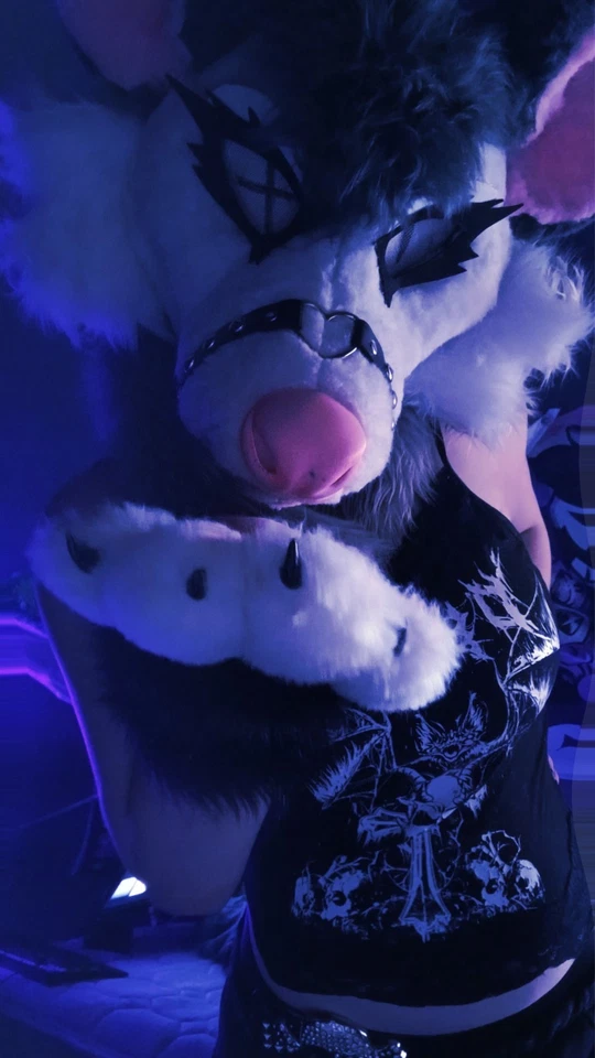 Cabezal de zarigüeya, barato, calidad media. - Imagen 3 de 3