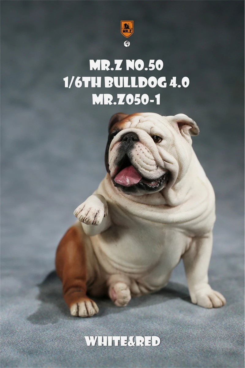 JXK 1/6 British Bulldog 4.0 Dog Pet Figure Animal Model Toys Xmas