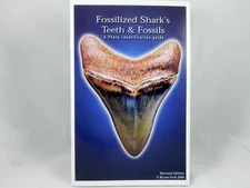Megalodon Book Guide Shark Tooth Identification w/ Photos of Fossil Teeth  tooth
