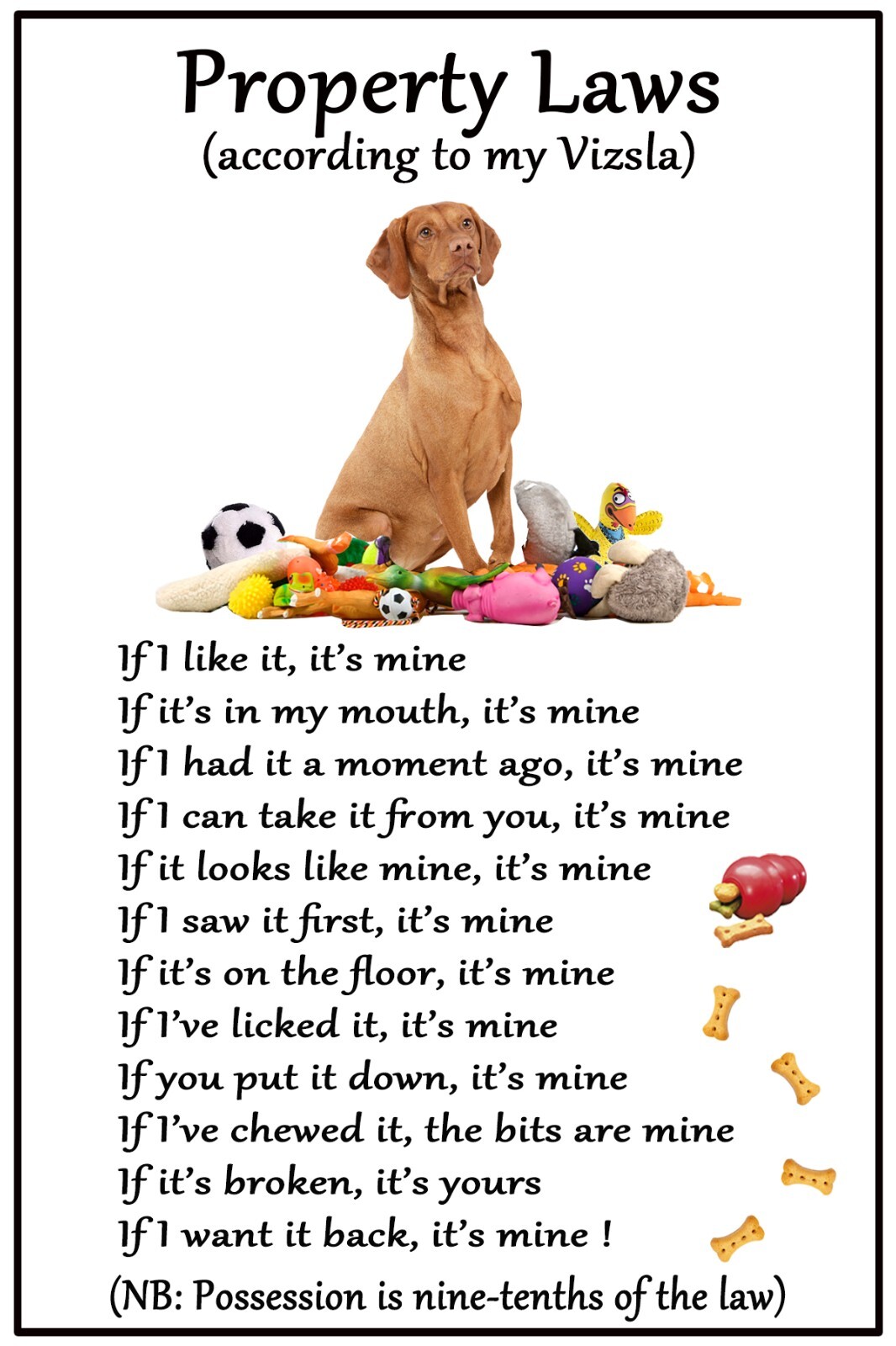 Hungarian Vizsla Dog Lovers Gift  Flexible Magnet Dog Property Laws