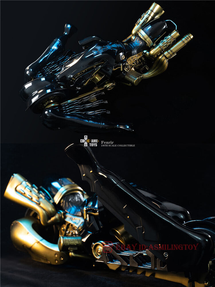 パネライ 希少 Fenrir & Strife Cloud 1/6 GAMETOYS AC Figure GT-006C Ver その他