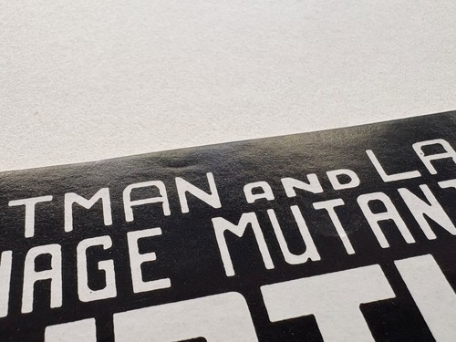 Teenage Mutant Ninja Turtles #3 (1985) 2nd print Mirage Eastman Laird VF range - Picture 4 of 10