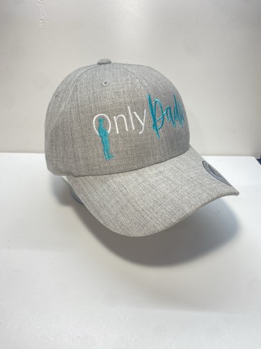 Only Dads Funny SnapBack Cap Hat Solid Gray Embroidered, One Size - 第 3/5 張圖片