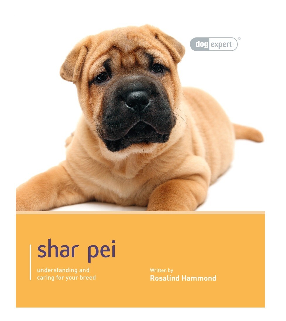 Shar Pei - Dog Expert
