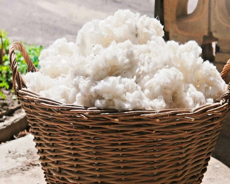 100% Organic Natural Kapok Cotton Filling Stuffing toys pillow Free shipping 25g - Image 4 of 4