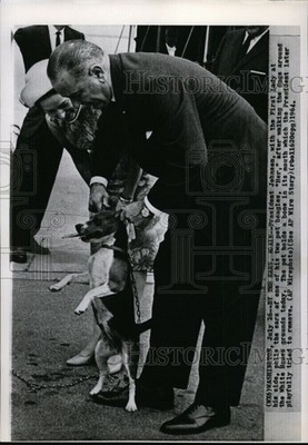 1964 President Johnson First Lady Pulls Ears Pet Her 10X7 Wirephoto