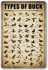 Type Of Duck Tin Sign Duck Hunting Decor Mallard Ducks Knowledge Metal Signs Vin