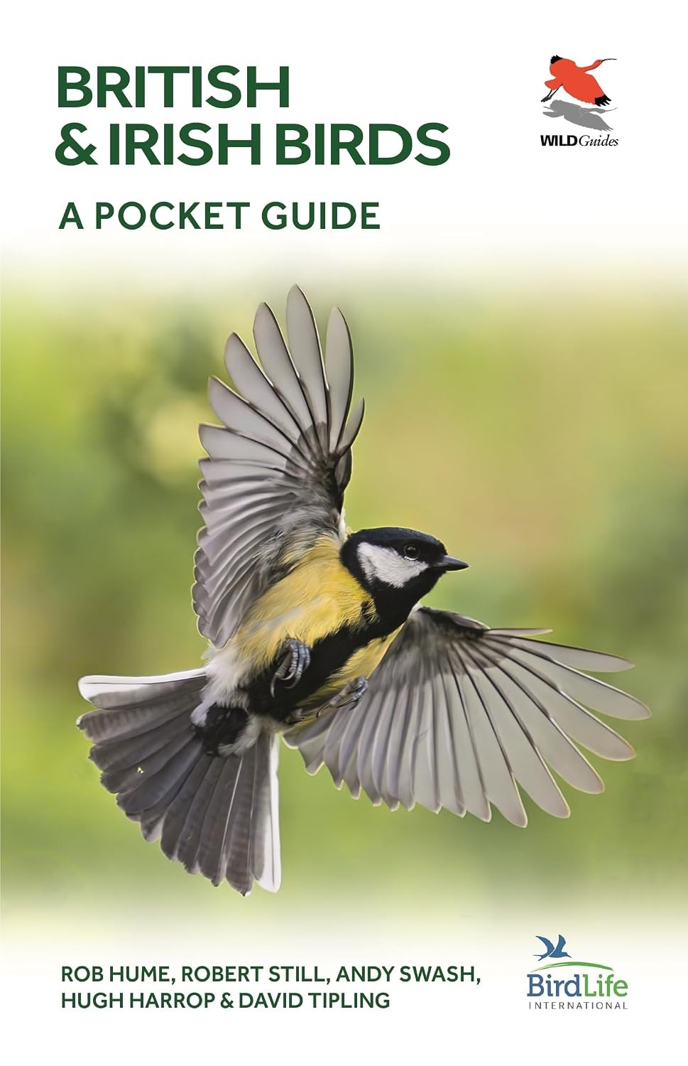 British and Irish Birds: A Pocket Guide: 30 (WILDGuides) - Image 5
