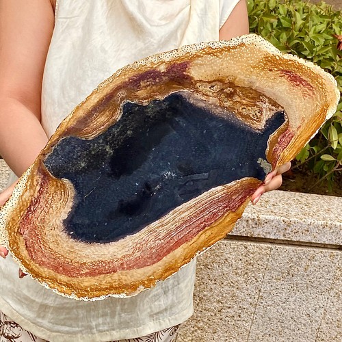 5.31LB Natural Woodcut Stone Slices - Unique Pattern Collection Grade - 第 11/13 張圖片
