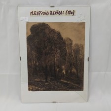 Pastello, matita nera, pittore modenese M. Elpidio Bertoli