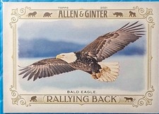 2021 Topps Allen Ginter - Rallying Back Bald Eagle #RB3  Support UNICEF Charity