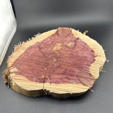 X LG Red Cedar Wood Turning Blank Cookie Live Edge Base 9  X 9.5  X 1.5   1B   