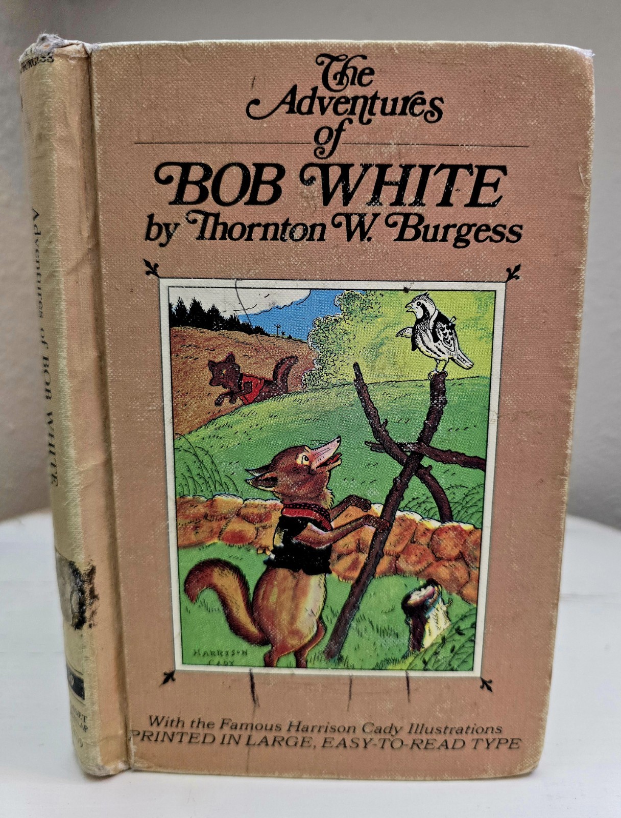 Lot Of 6 Vtg HC Thorton W. Burgess Children's Bedtime Story Books Illustrated