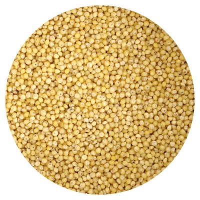 Organic Hulled Millet, 3 Pound Bulk Bag, Hampton Distribution