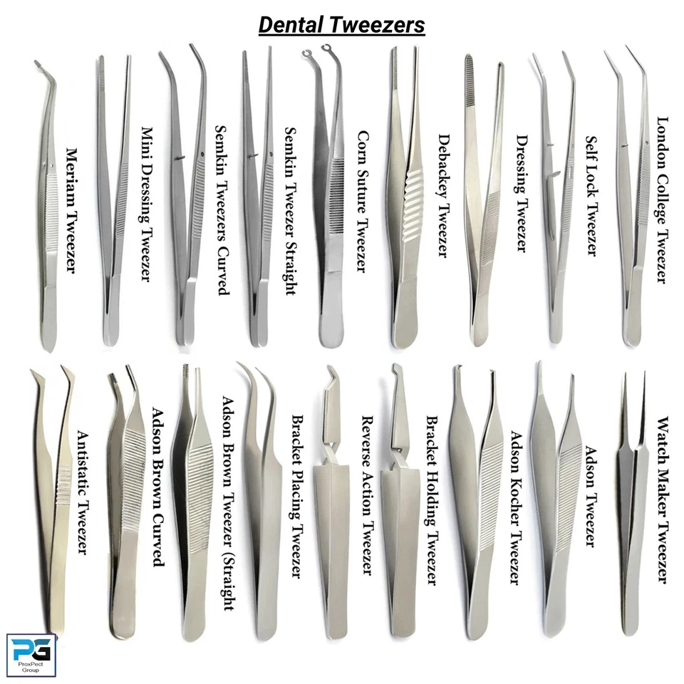 Adson London College Tissue Forceps Dental Tweezers Surgical Stainless Steel - Image 1 of 1
