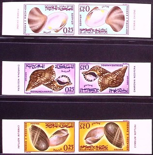 MOROCCO: c.1960s Selection of Shells Tete Beche Imperf Pairs Unmounted Mint