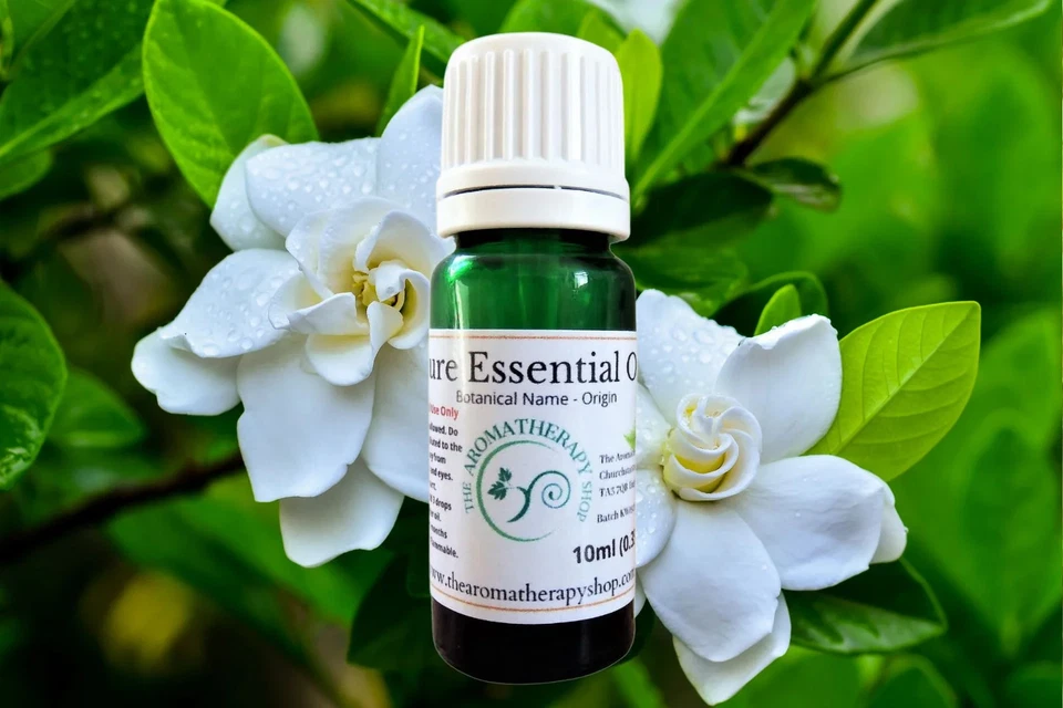 THE AROMATHERAPY SHOP LTD Gardenia Pure Essential Oil (Origin: Egypt)