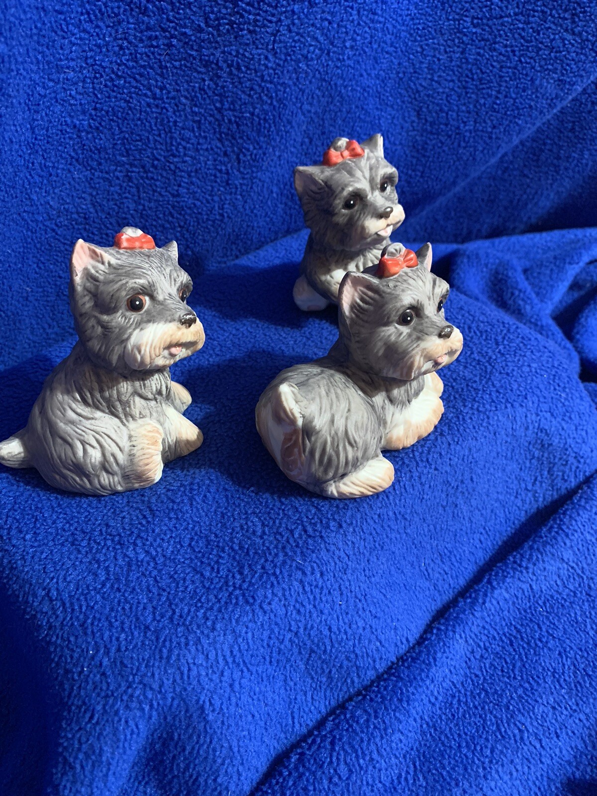 Picture 2 of 13
