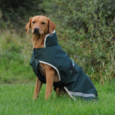Bucas Greenline Dog Rug 50g - Hundedecke