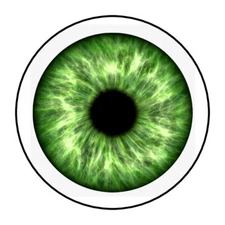 eye stickers, labels, tags, envelope seals, eye ball, green