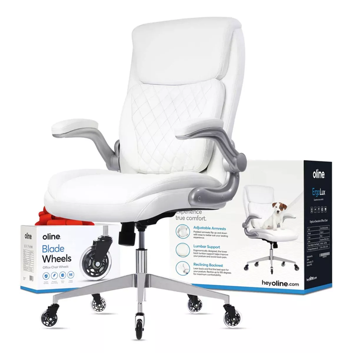 The Best Lumbar Support for Your Office Chair