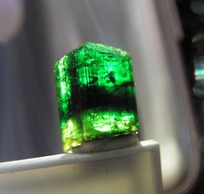 Gw - TOURMALINE var. CHROME DRAVITE - Landanai, TANZANIA - 5.2ct