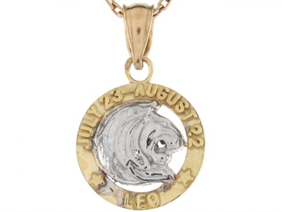 10k oder 14k Bicolor Echt Gold 1,8cm Sternzeichen Löwe Geburtstag Mädchen Charm Anhänger