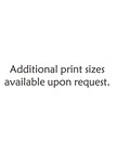 Handsome Male Nude AI Physique Gay Men Limited Edition Promo Photo 4x6 7.26 — photo 6