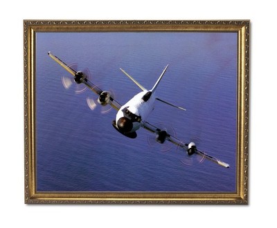EP-3E Aries Navy Jet Airplane Wall Picture Gold Framed Art Print