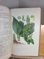 Vintage Soviet Herbal: Wild Medicinal Plants of the USSR (1976)
