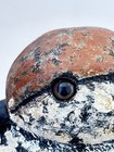 Vtg Hand Carved Wood Dunlin Shorebird Decorative Decoy Coastal Folk Art Figurine — photo 8