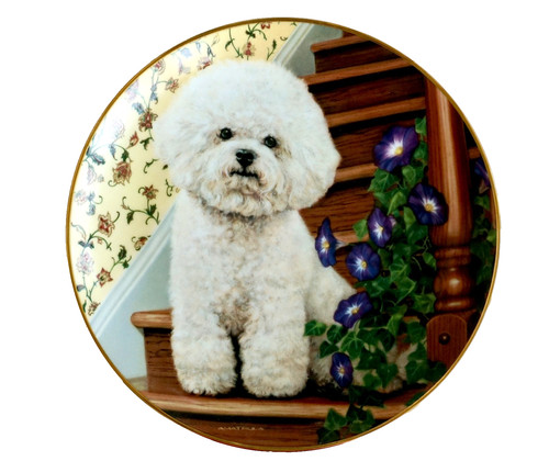 Danbury Mint Ltd. Ed. Plate, Stepping Up, Michele Amatrula, Bichon Frise B5562