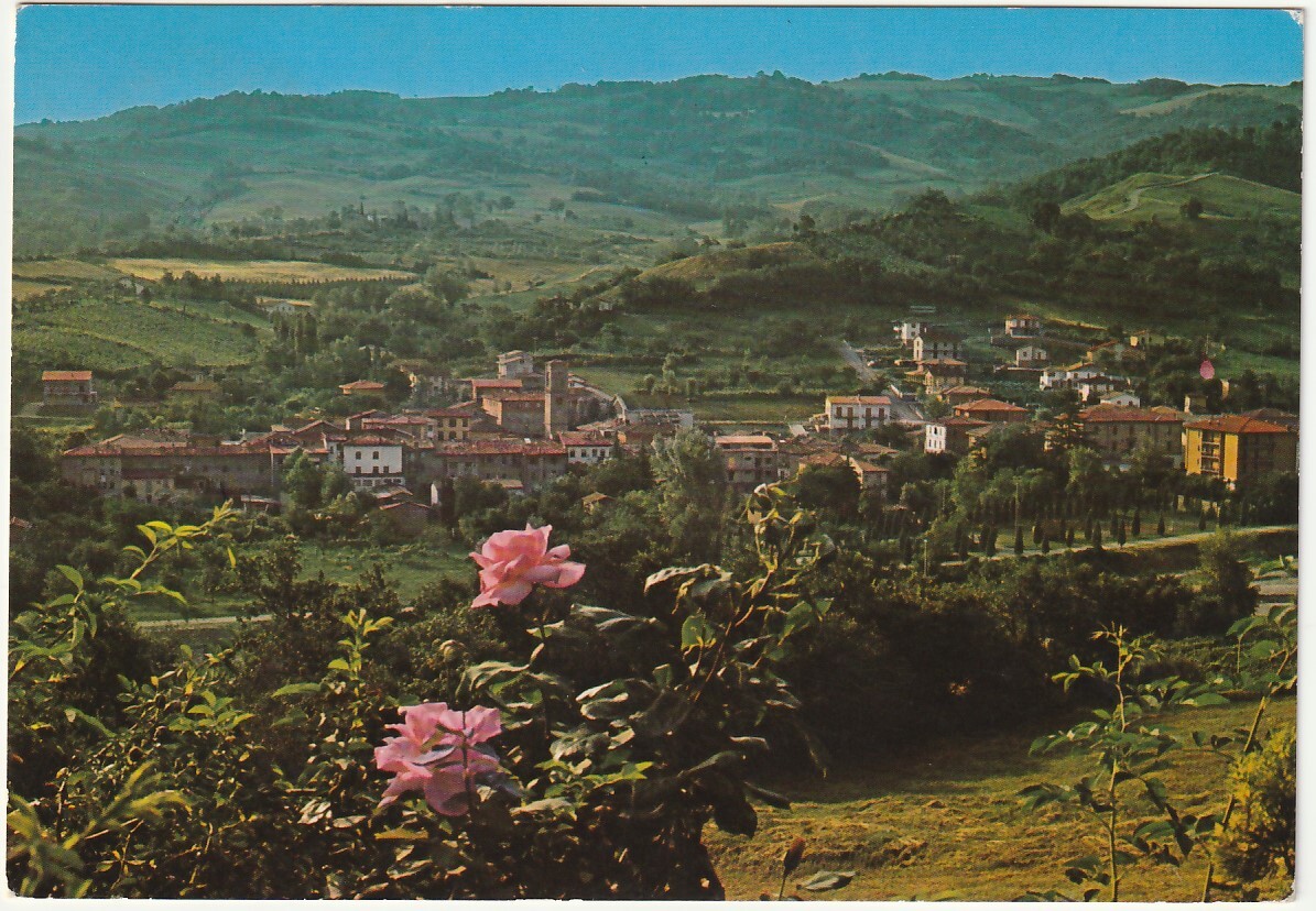 SAVIGNO - BOLOGNA - PANORAMA - VIAGG. -10437-