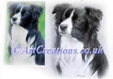 PENCIL PORTRAIT DRAWING OF UR PHOTO, ARTIST, DOG CAT HORSE PET BABY DAD MUM GIFT