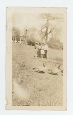 Vintage Photo Two Cute Sweet African American Couples At Park Duck Pond 1930s