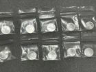 Lot of 10 x 1 gram .999 Fine Silver Rounds- State Of Florida- Gold Silver Naples