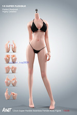 1:6 Flexible Female Seamless Pale Skin Figure Body Hand shape+Bikini Set  Gift