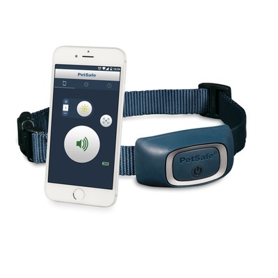 shock collar with app